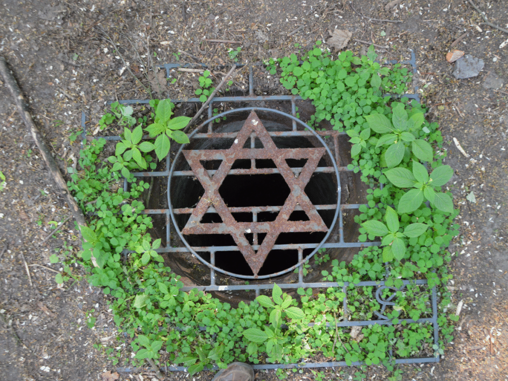 A Portal to Pre-War Jewish Life in Warsaw: The Okopowa Street Cemetery